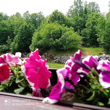Vikendica Njegusi Villa Cetinje Kültér fotó