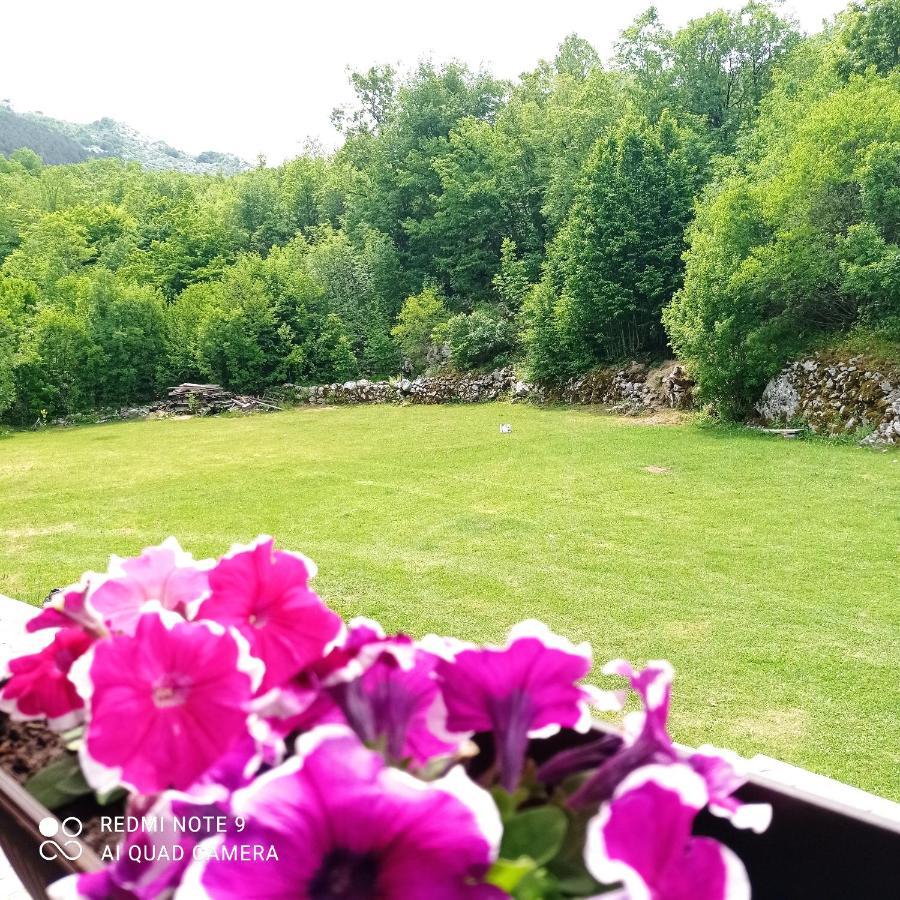 Vikendica Njegusi Villa Cetinje Kültér fotó