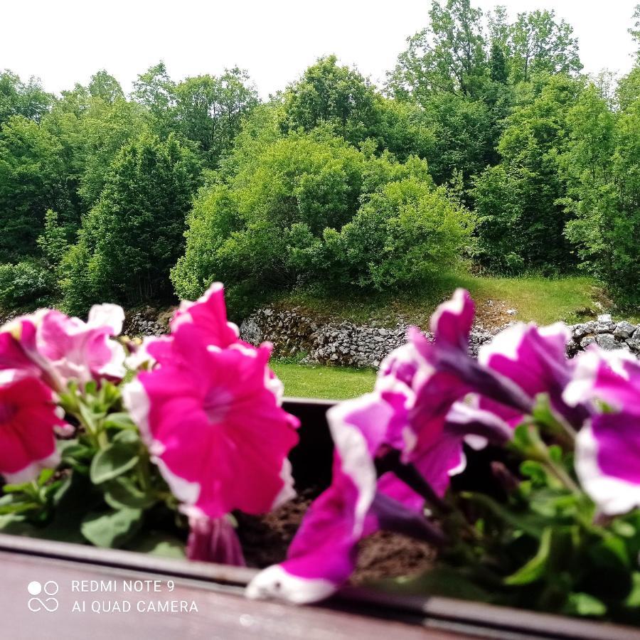 Vikendica Njegusi Villa Cetinje Kültér fotó